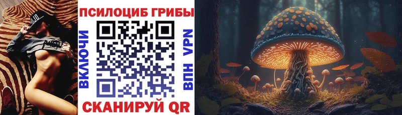 сколько стоит  Чайковский  Галлюциногенные грибы прущие грибы 